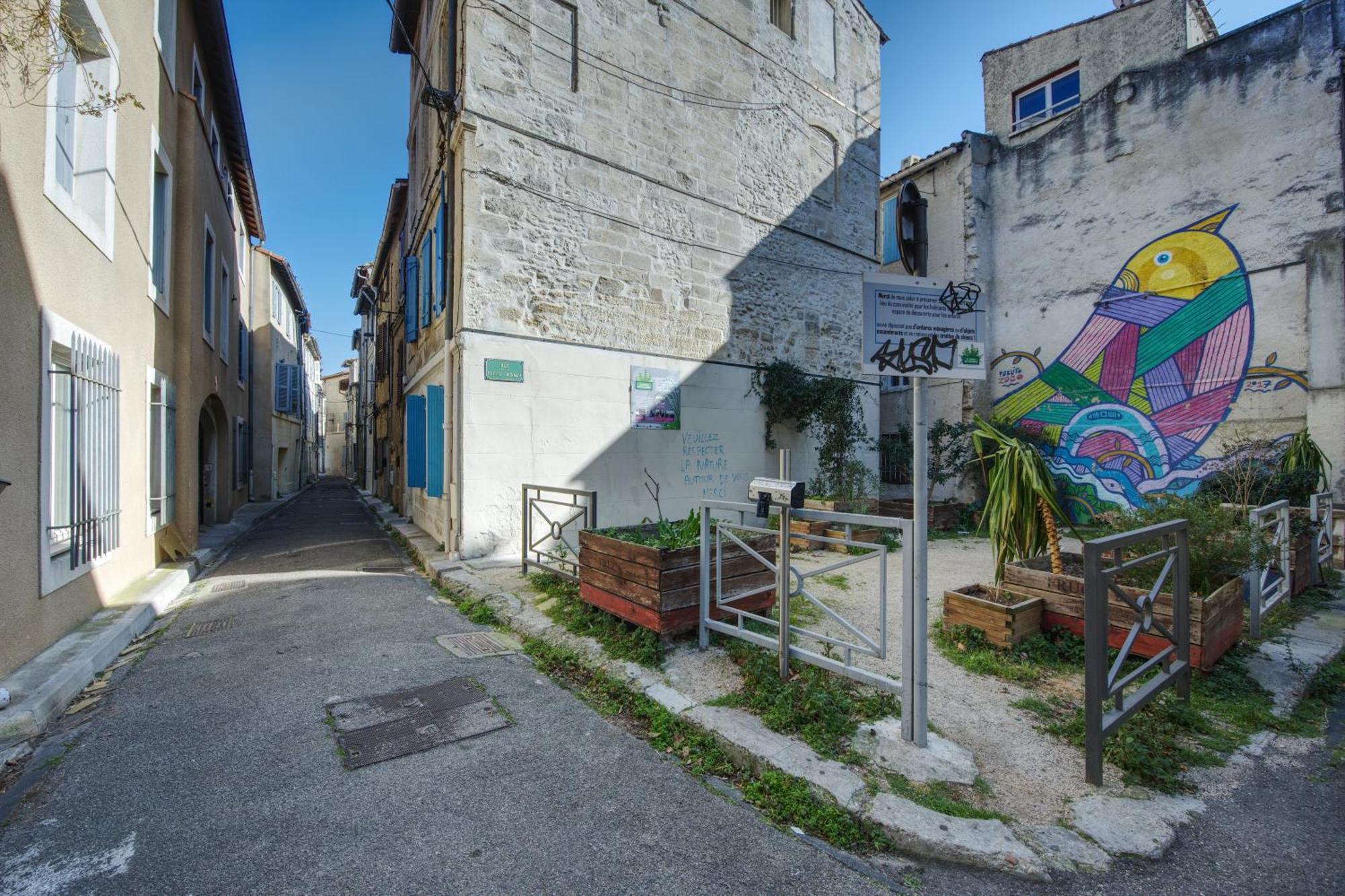 Appartement Cosy Avignon Centre-Ville Exteriör bild